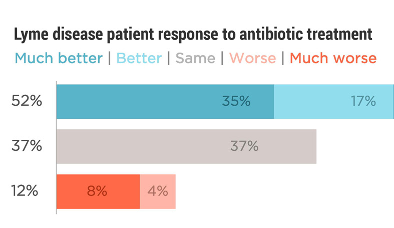 “Chronic Lyme disease” remains a contentious term