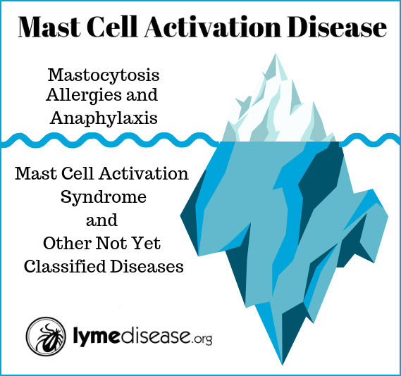 syndrome d'activation des mastocytes