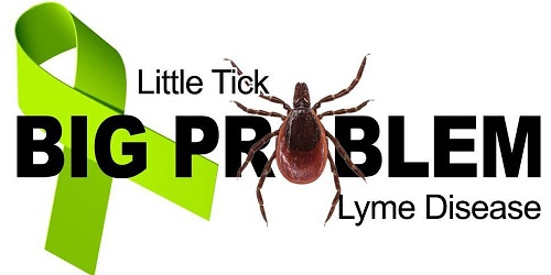 NE Ohio Lyme Foundation