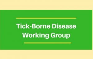 TBDWG Lyme Policy Wonk