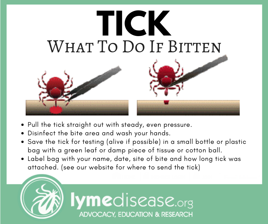 Help! I've gotten a tick bite. Now what do I do?