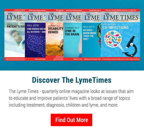 Discover The Lyme Times