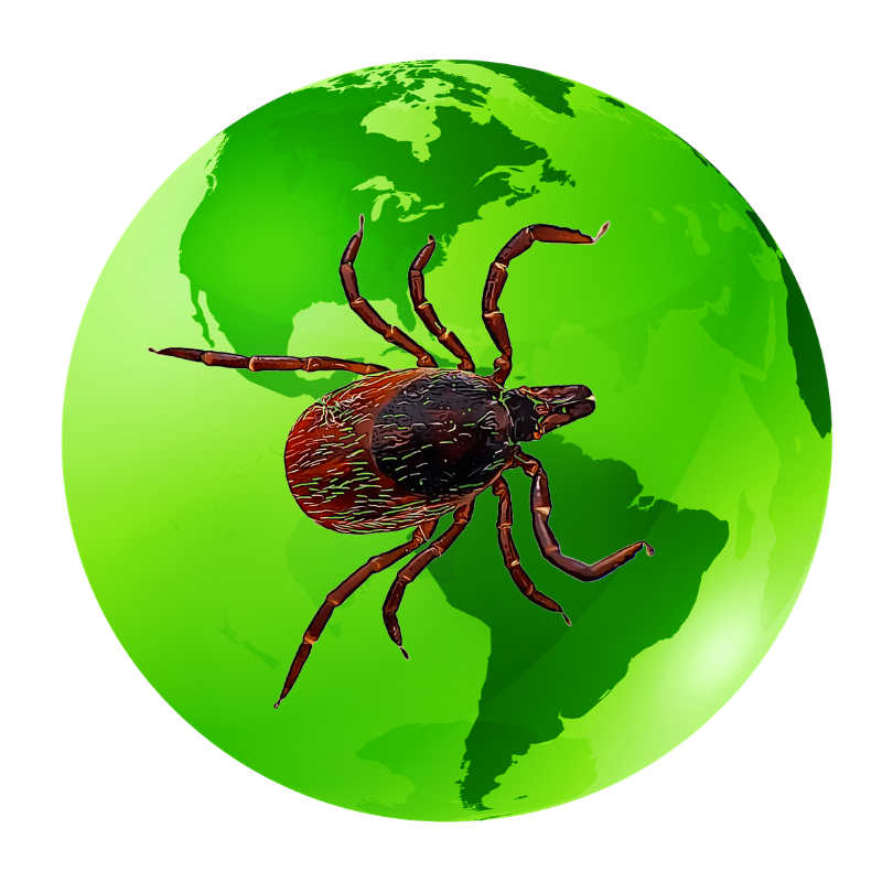 worldwide ticks