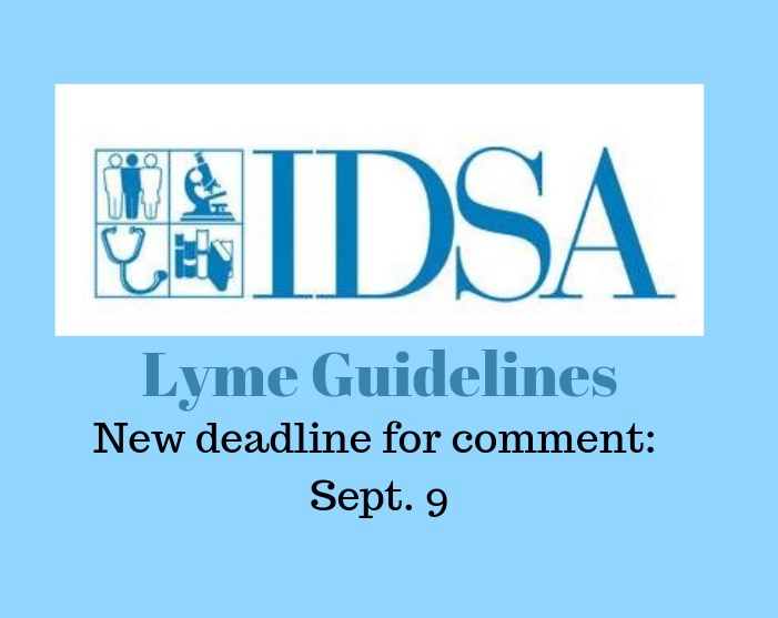 Commenting on IDSA Lyme guidelines