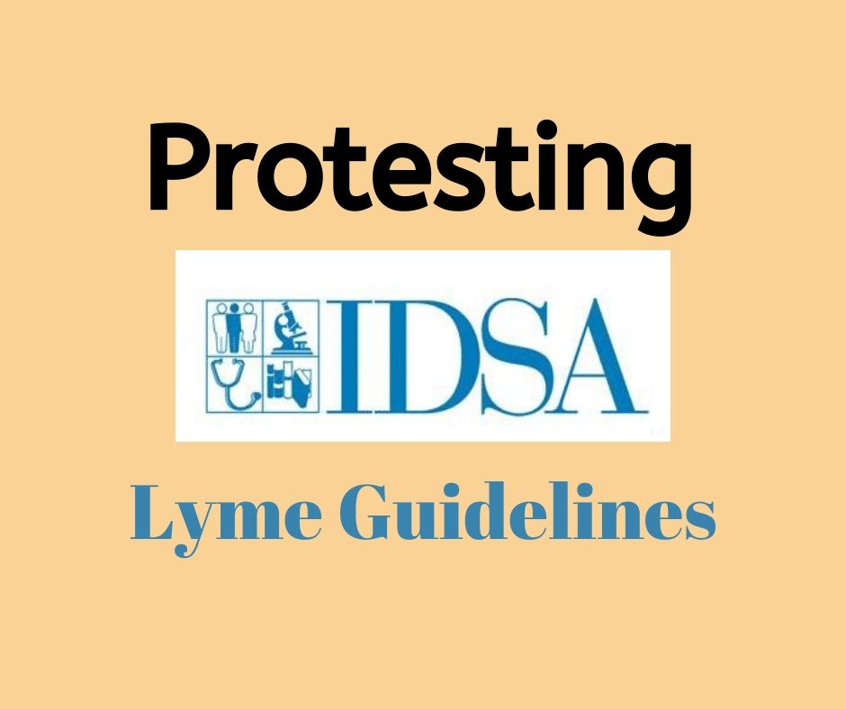 czechia joins ad hoc coalition to protest idsa lyme guidelines