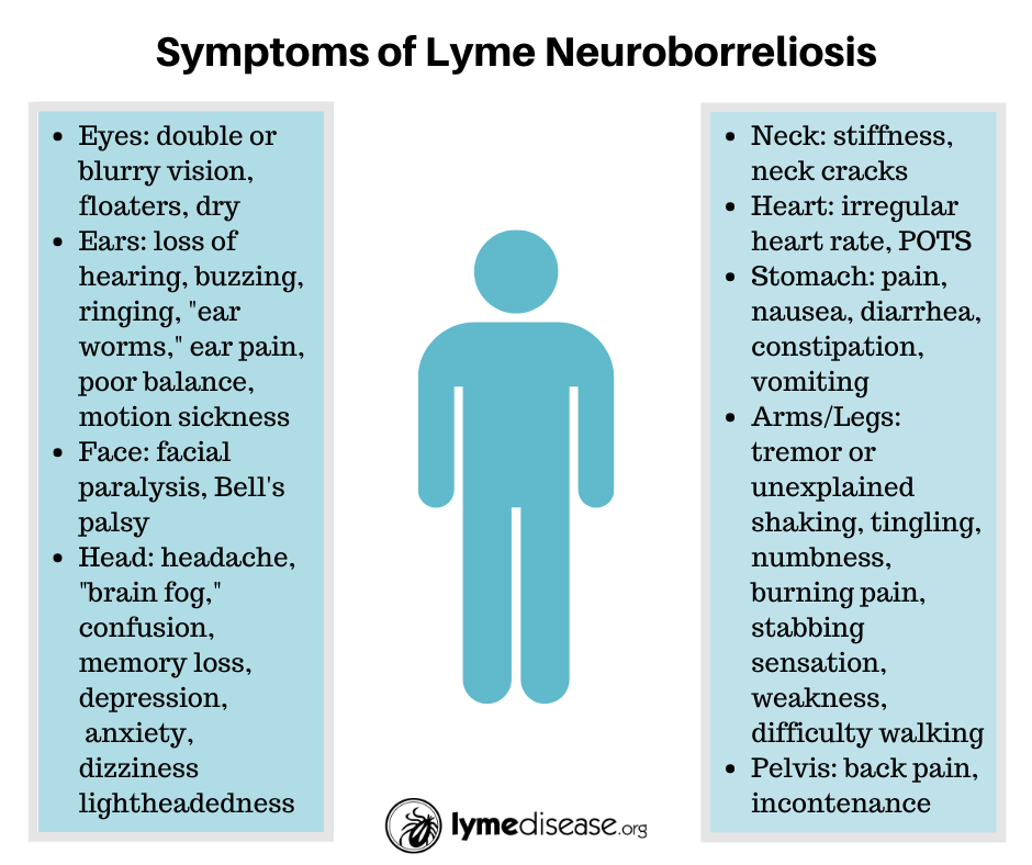 neuroborreliosis symptoms