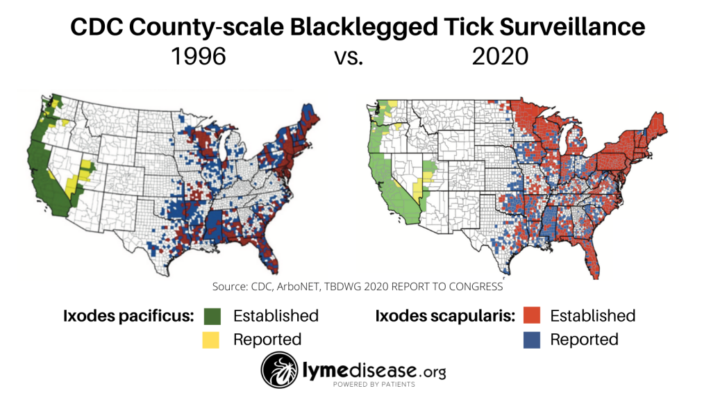 CDC tick maps