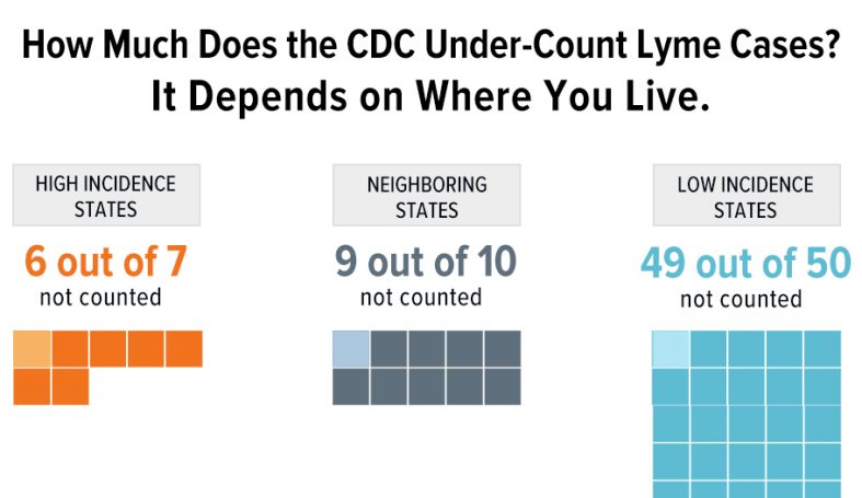 How much does the CDC undercount Lyme cases? It depends on where you live.