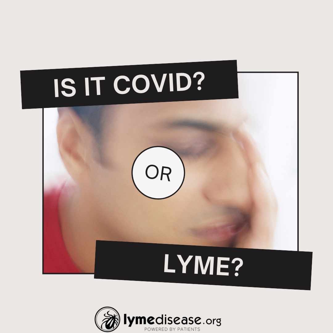 covid or lyme