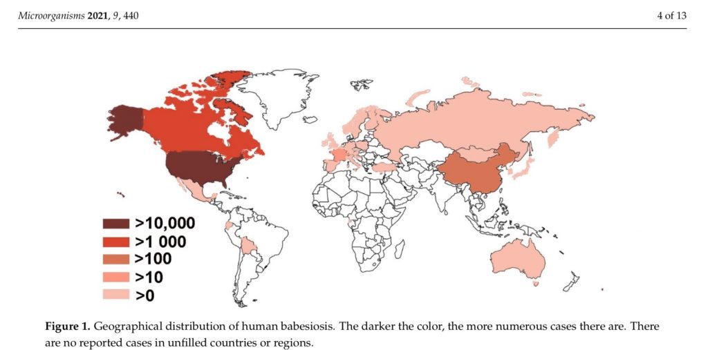 Babesia world map