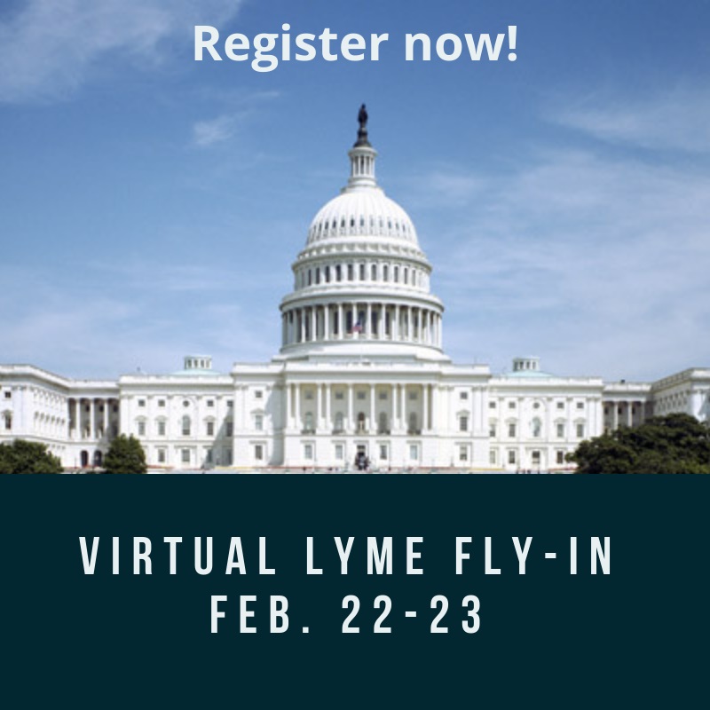 TOUCHED BY LYME: Who will represent YOUR state? Maybe you?
