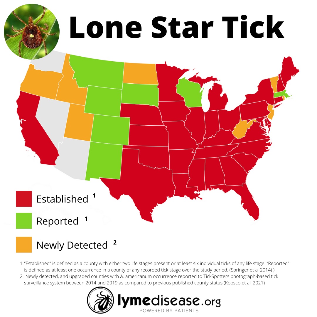 LYME SCI "Superfast" lone star ticks are showing up in new places
