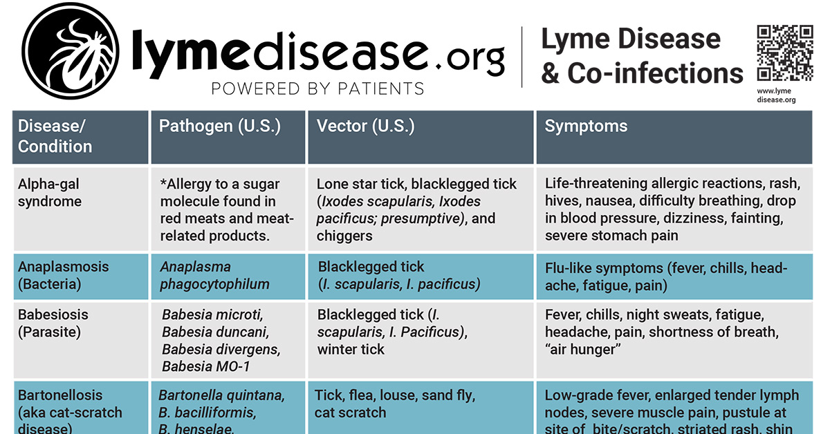 Other Lyme Disease Co Infections