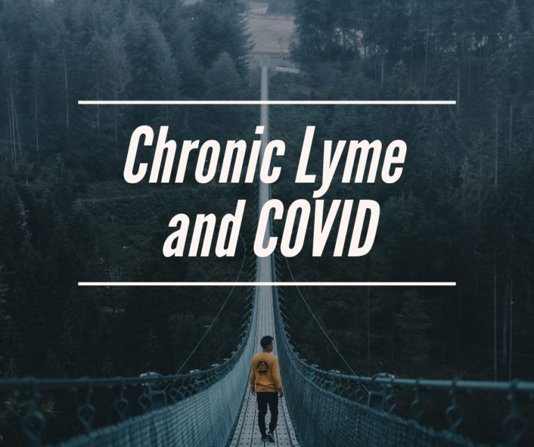 Surveying the interrelationship between Lyme disease and COVID19