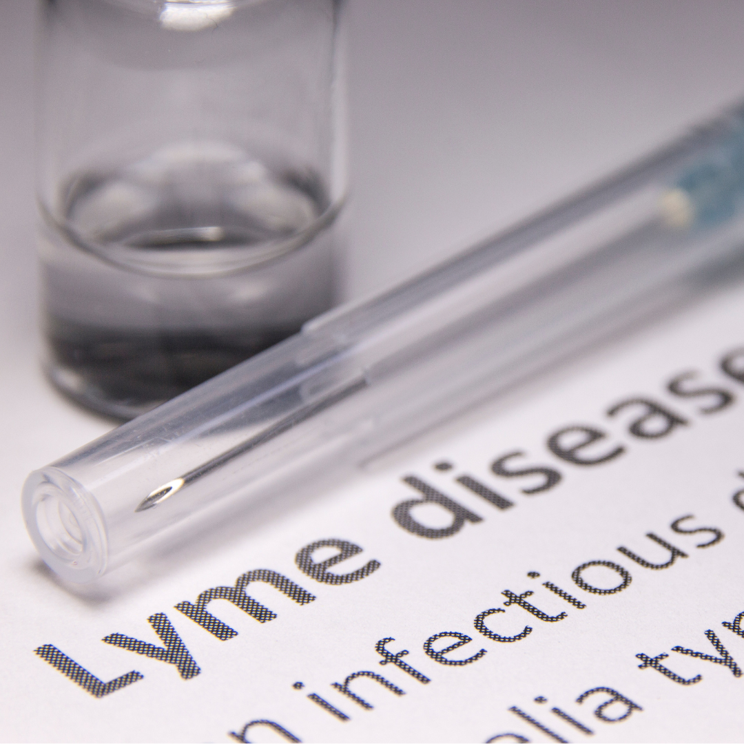 The Lyme disease vaccine--separating fact and fiction