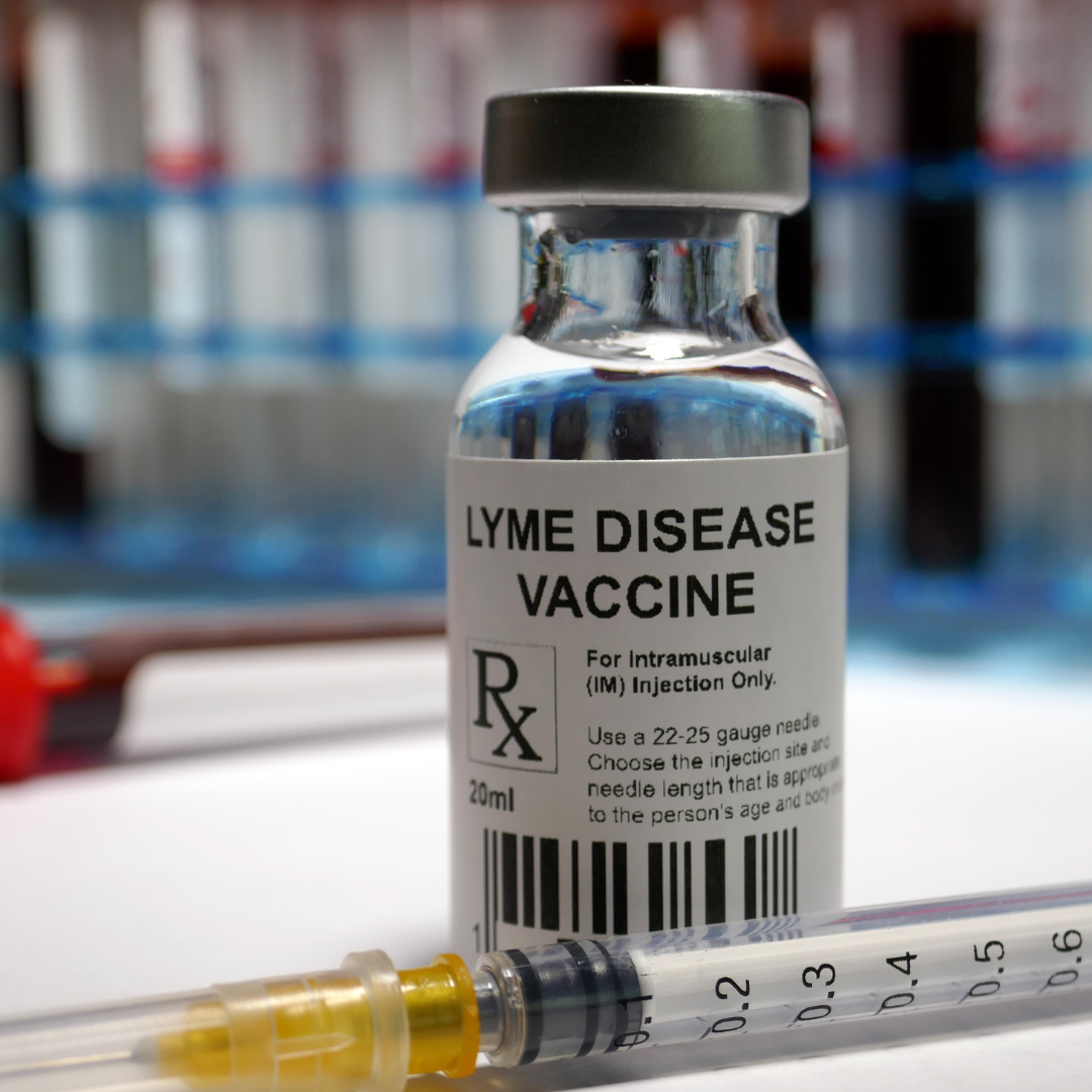 Patients question CDC about Pfizer Lyme vaccine