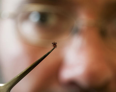 A better way to detect Powassan virus in ticks