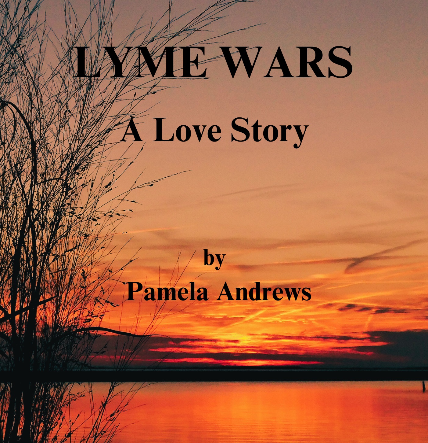 Pouring 30+ years of Lyme experience into a novel